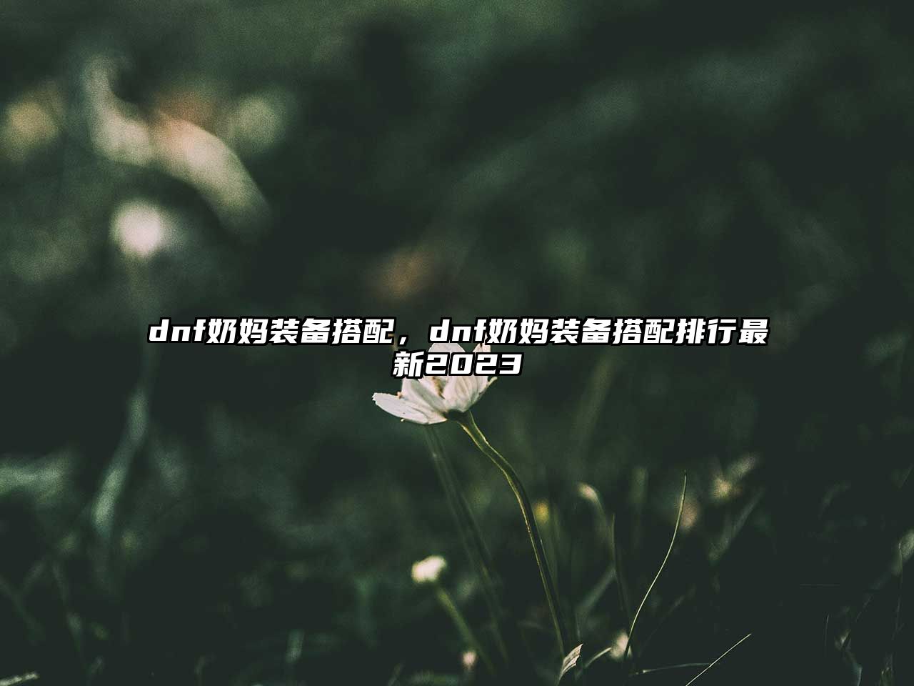 dnf奶媽裝備搭配，dnf奶媽裝備搭配排行最新2023