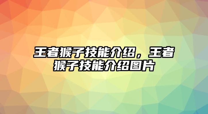 王者猴子技能介紹，王者猴子技能介紹圖片