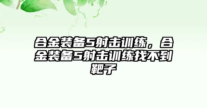 合金裝備5射擊訓練，合金裝備5射擊訓練找不到靶子