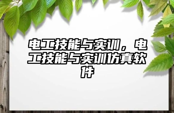 電工技能與實訓，電工技能與實訓仿真軟件