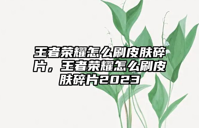 王者榮耀怎么刷皮膚碎片，王者榮耀怎么刷皮膚碎片2023