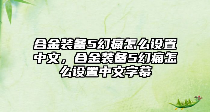 合金裝備5幻痛怎么設置中文，合金裝備5幻痛怎么設置中文字幕