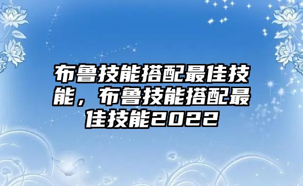 布魯技能搭配最佳技能，布魯技能搭配最佳技能2022