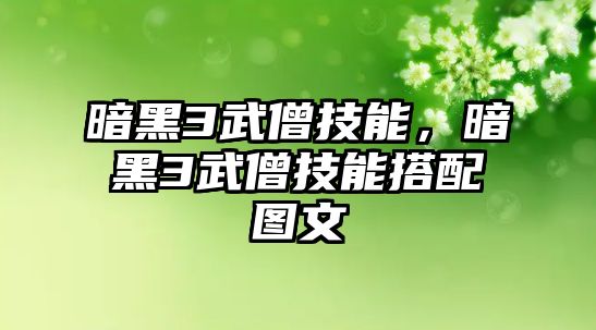 暗黑3武僧技能，暗黑3武僧技能搭配圖文