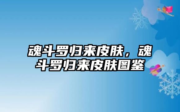 魂斗羅歸來皮膚，魂斗羅歸來皮膚圖鑒