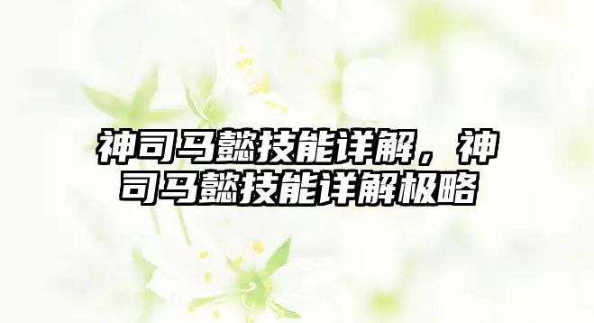 神司馬懿技能詳解，神司馬懿技能詳解極略