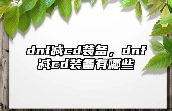 dnf減cd裝備，dnf減cd裝備有哪些