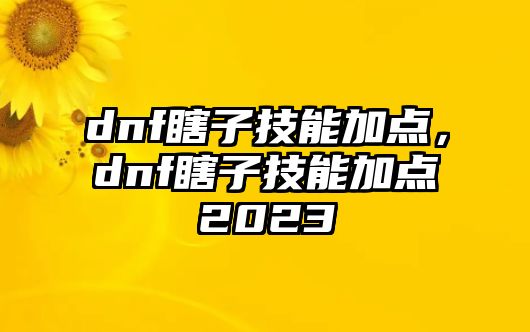 dnf瞎子技能加點，dnf瞎子技能加點2023