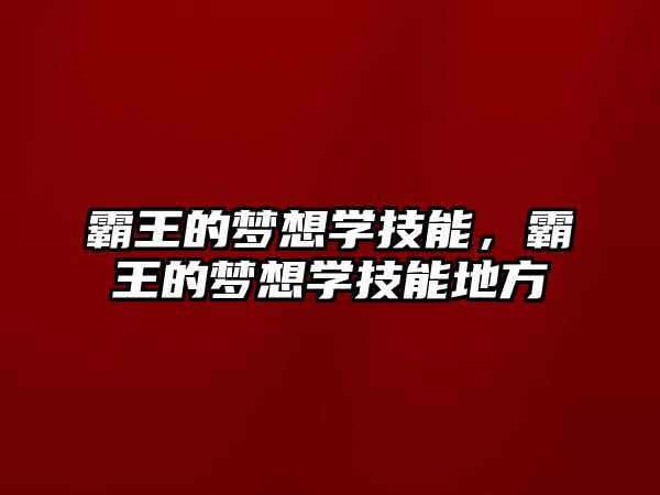 霸王的夢想學技能，霸王的夢想學技能地方