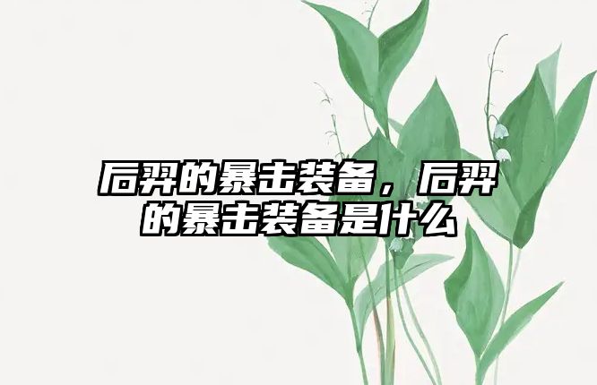 后羿的暴擊裝備，后羿的暴擊裝備是什么