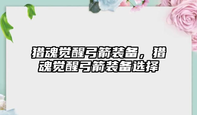 獵魂覺醒弓箭裝備，獵魂覺醒弓箭裝備選擇