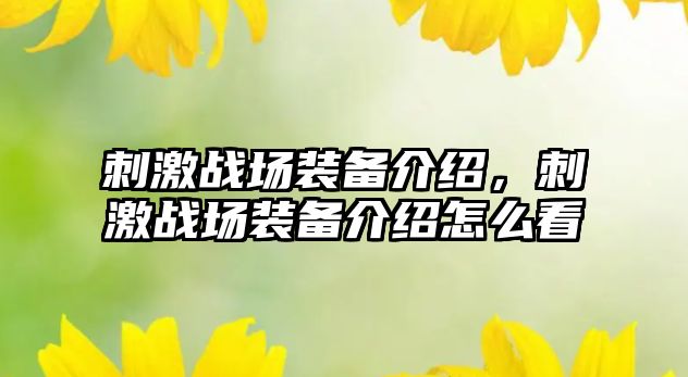 刺激戰場裝備介紹，刺激戰場裝備介紹怎么看