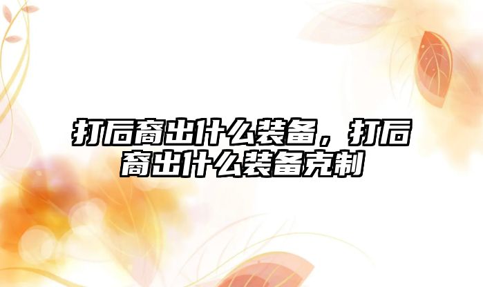 打后裔出什么裝備，打后裔出什么裝備克制