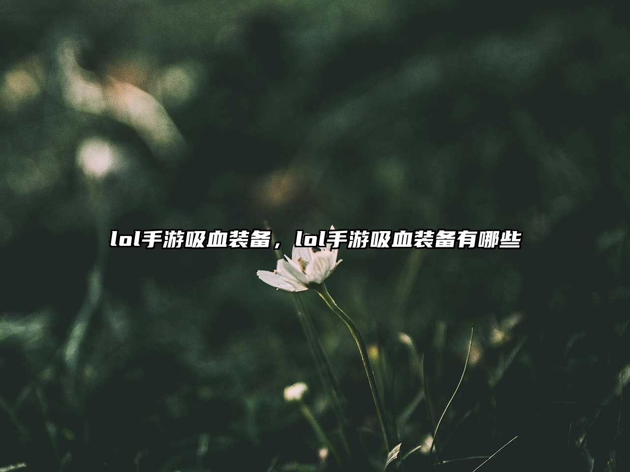 lol手游吸血裝備，lol手游吸血裝備有哪些