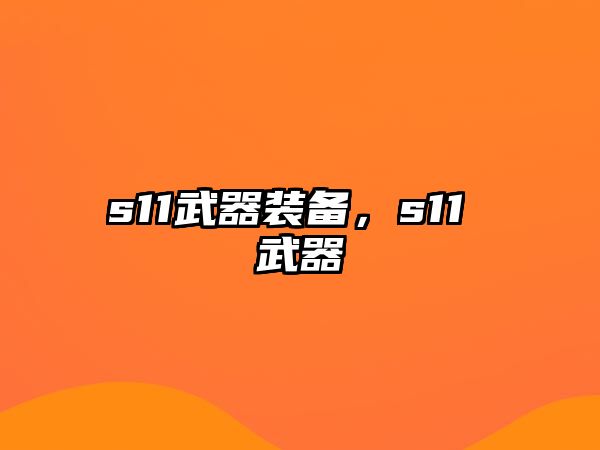 s11武器裝備，s11 武器