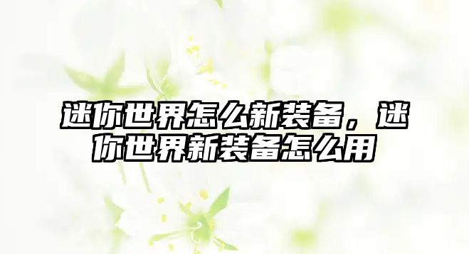 迷你世界怎么新裝備，迷你世界新裝備怎么用