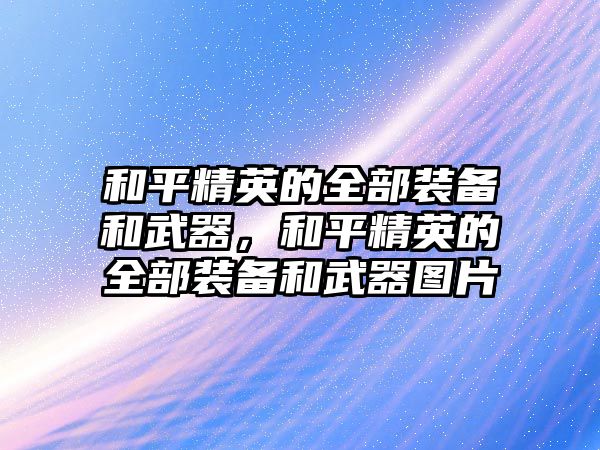 和平精英的全部裝備和武器，和平精英的全部裝備和武器圖片