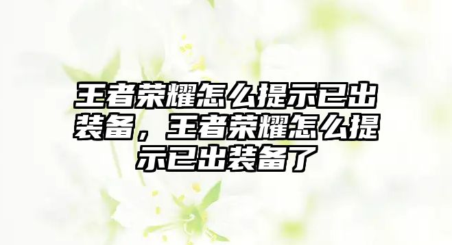 王者榮耀怎么提示已出裝備，王者榮耀怎么提示已出裝備了