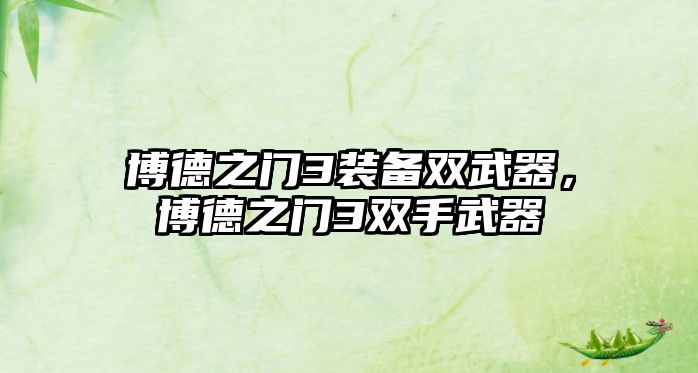 博德之門3裝備雙武器，博德之門3雙手武器