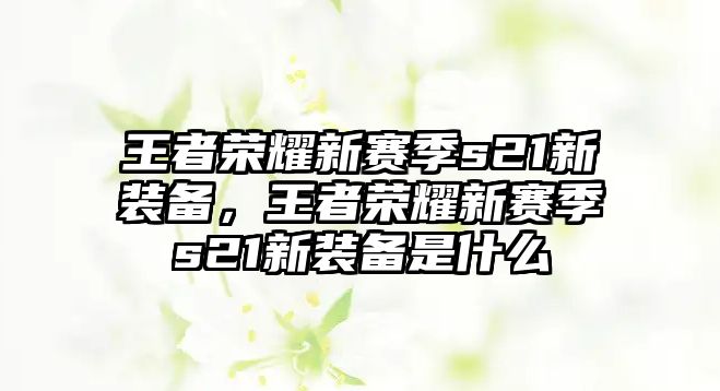 王者榮耀新賽季s21新裝備，王者榮耀新賽季s21新裝備是什么