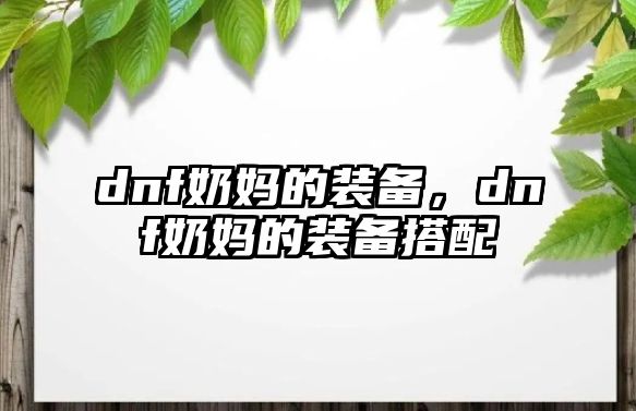 dnf奶媽的裝備，dnf奶媽的裝備搭配