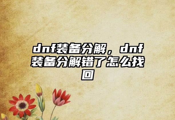 dnf裝備分解，dnf裝備分解錯了怎么找回