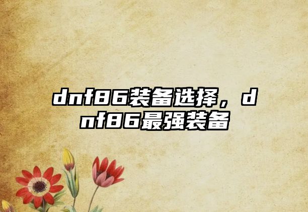 dnf86裝備選擇，dnf86最強裝備