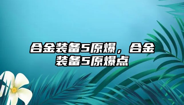 合金裝備5原爆，合金裝備5原爆點