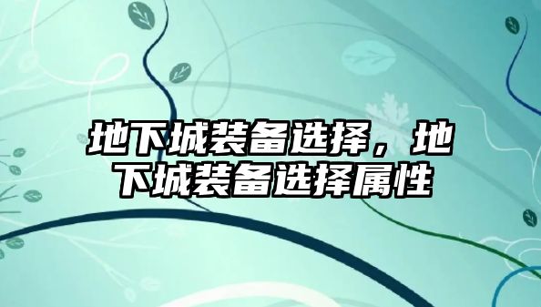 地下城裝備選擇，地下城裝備選擇屬性