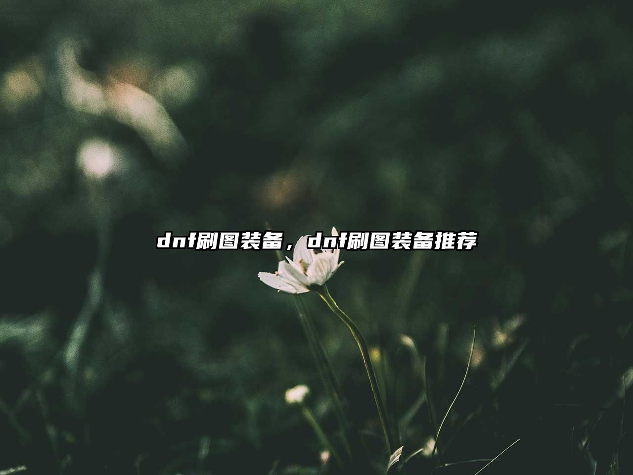 dnf刷圖裝備，dnf刷圖裝備推薦