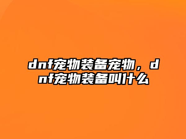 dnf寵物裝備寵物，dnf寵物裝備叫什么