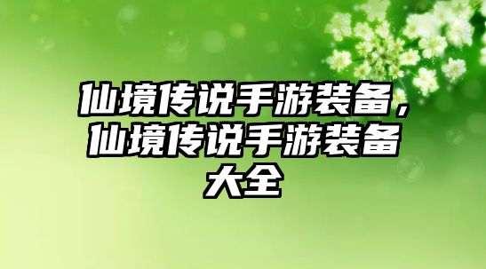 仙境傳說手游裝備，仙境傳說手游裝備大全