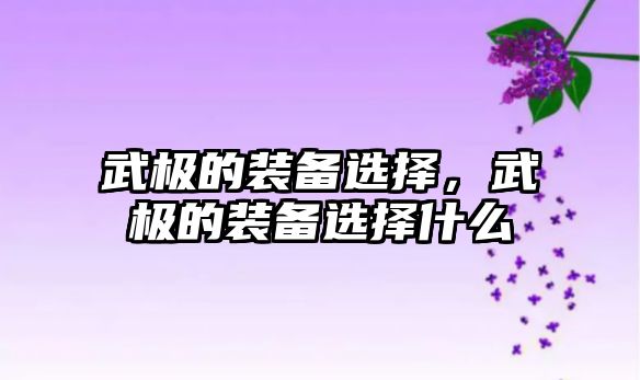 武極的裝備選擇，武極的裝備選擇什么