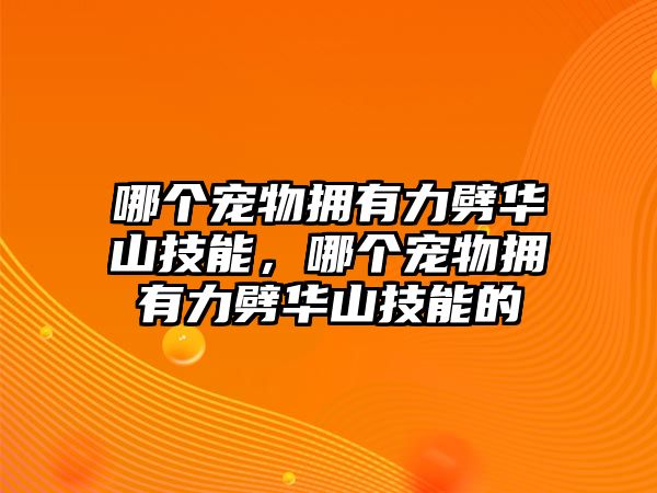 哪個(gè)寵物擁有力劈華山技能，哪個(gè)寵物擁有力劈華山技能的