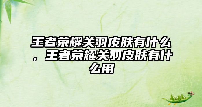 王者榮耀關羽皮膚有什么，王者榮耀關羽皮膚有什么用