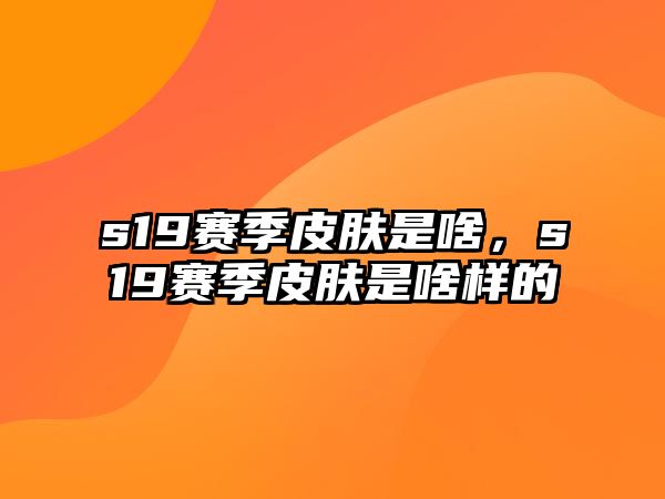 s19賽季皮膚是啥，s19賽季皮膚是啥樣的