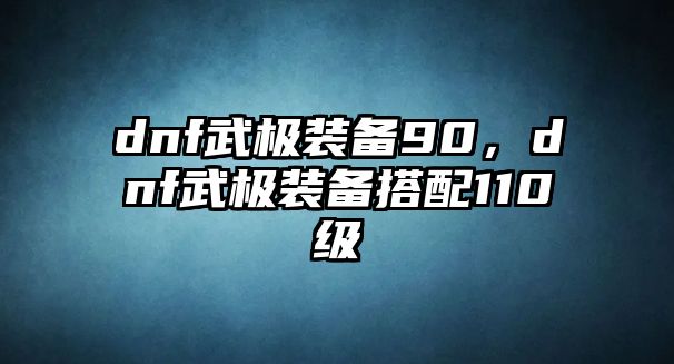 dnf武極裝備90，dnf武極裝備搭配110級