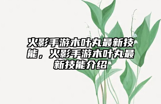 火影手游木葉丸最新技能，火影手游木葉丸最新技能介紹