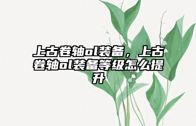 上古卷軸ol裝備，上古卷軸ol裝備等級怎么提升