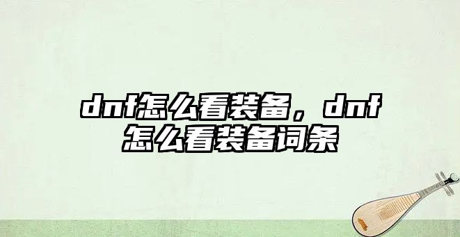 dnf怎么看裝備，dnf怎么看裝備詞條