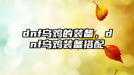 dnf烏雞的裝備，dnf烏雞裝備搭配