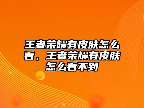 王者榮耀有皮膚怎么看，王者榮耀有皮膚怎么看不到