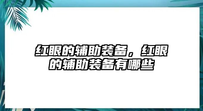 紅眼的輔助裝備，紅眼的輔助裝備有哪些