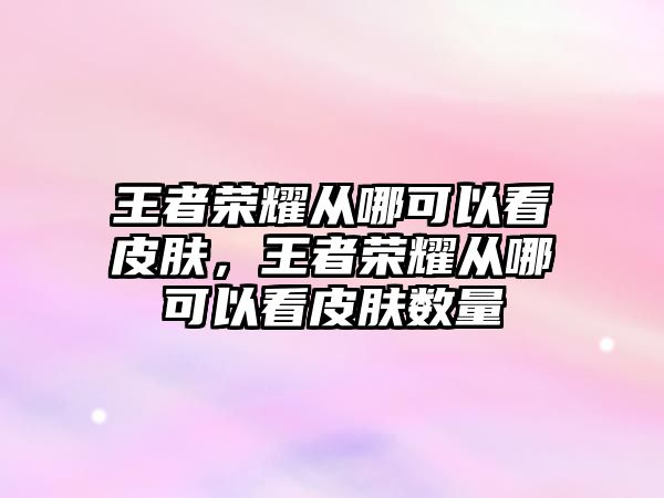 王者榮耀從哪可以看皮膚，王者榮耀從哪可以看皮膚數量