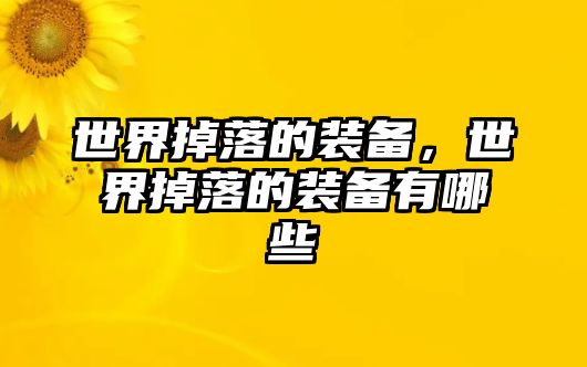 世界掉落的裝備，世界掉落的裝備有哪些